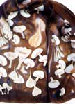 mushrooms on brown silk