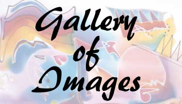 gallery of images